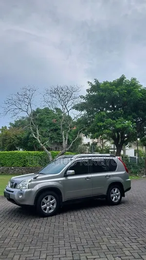 Nano Ceramic Tint Services