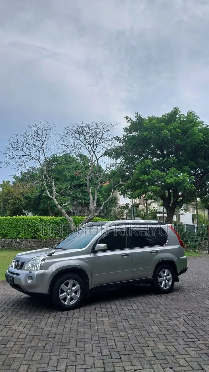 Nano Ceramic Tint Services