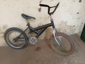 Bike Size 16