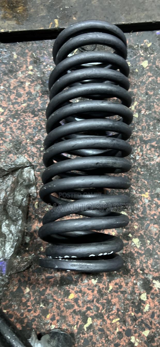 Vanguard Rear Springs Pair - thumbnail 3