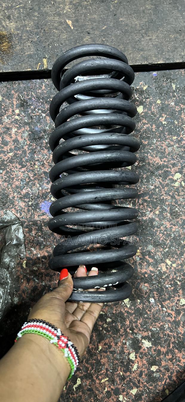 Vanguard Rear Springs Pair - main view