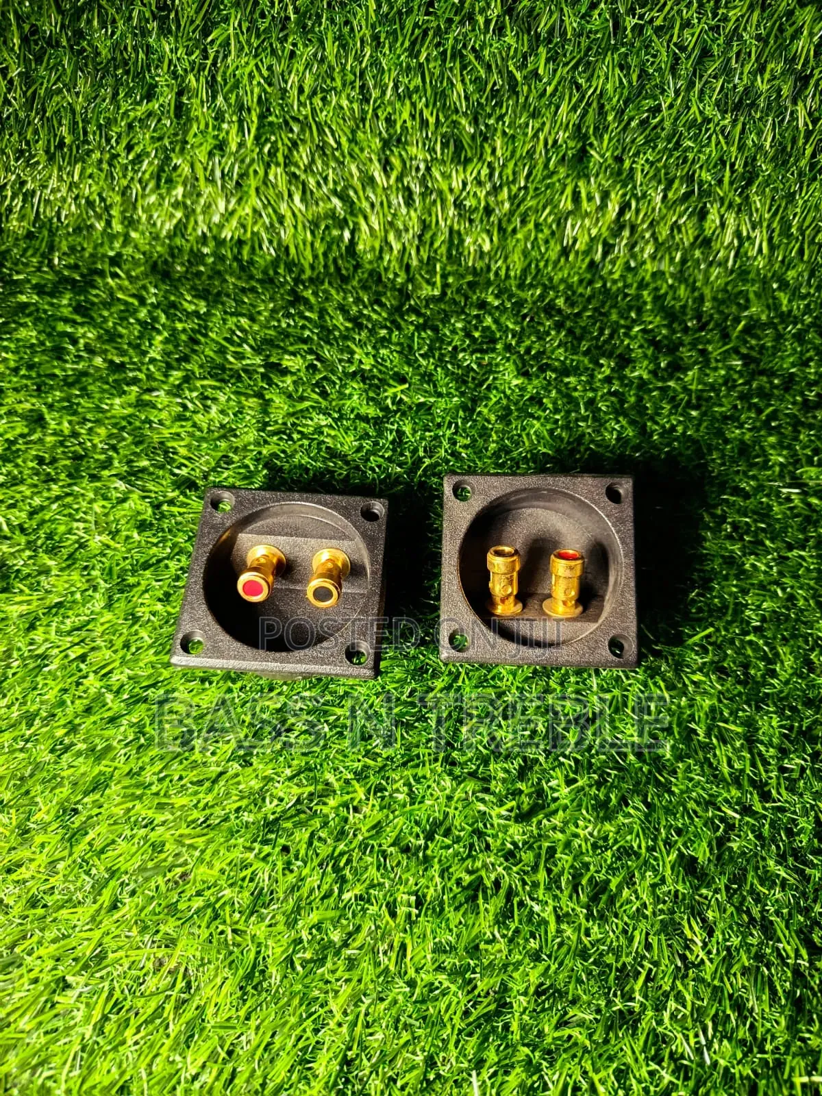 Speaker Terminals