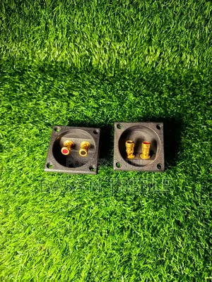 Speaker Terminals