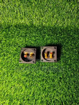Speaker Terminals