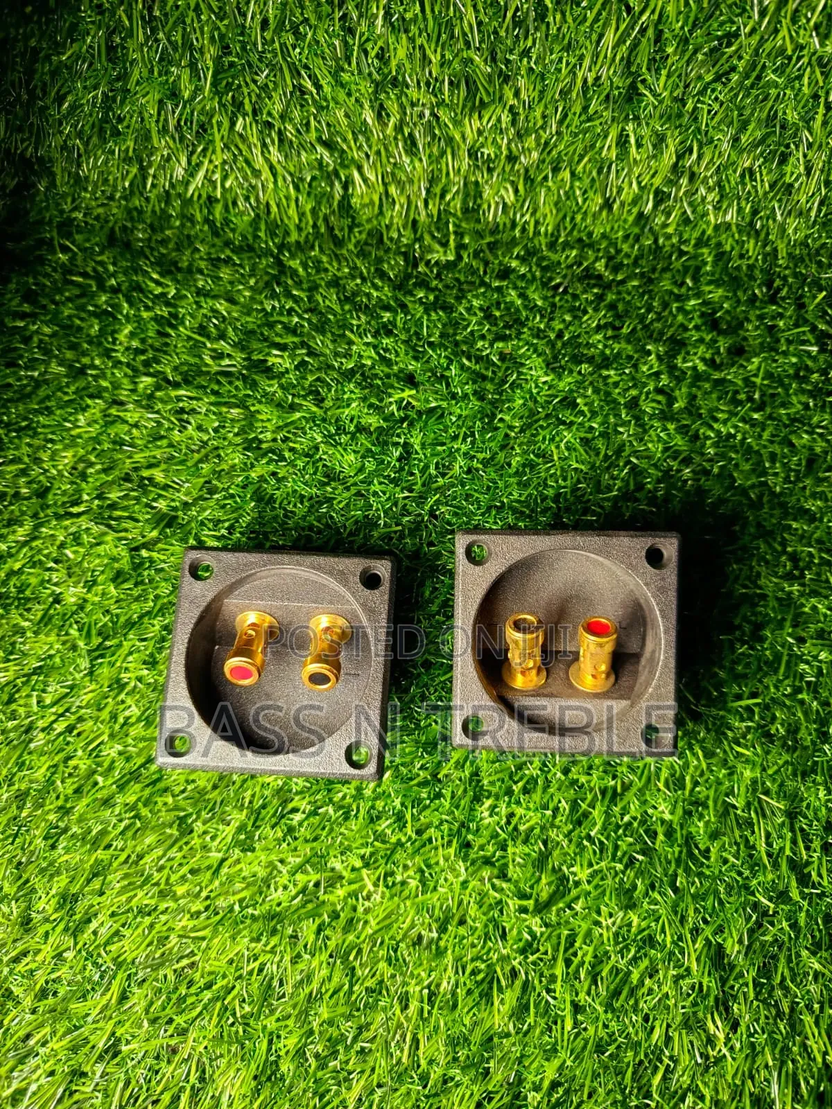 Speaker Terminals
