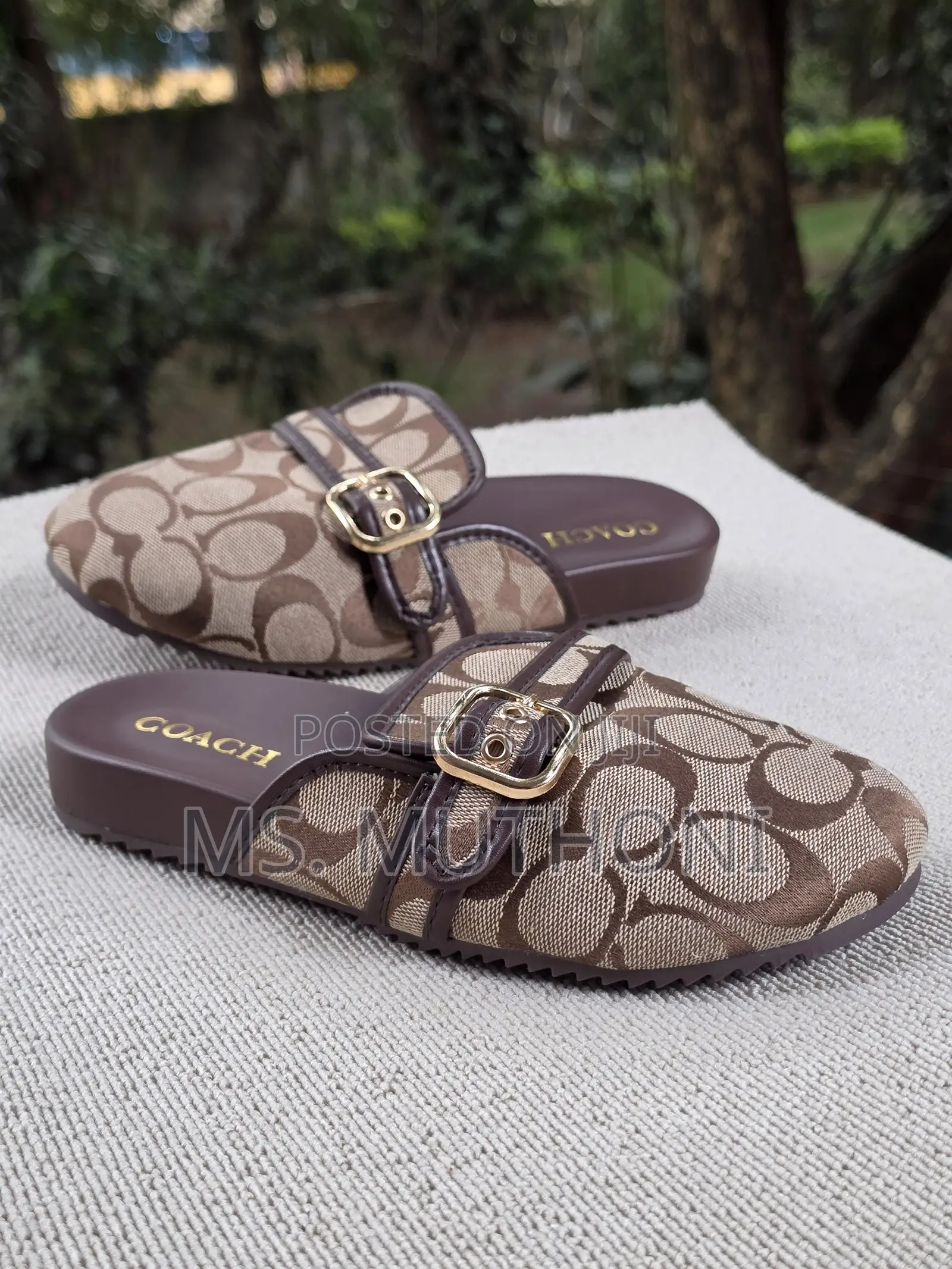 Coach Archival Buckle Flat Mules Size 37-41