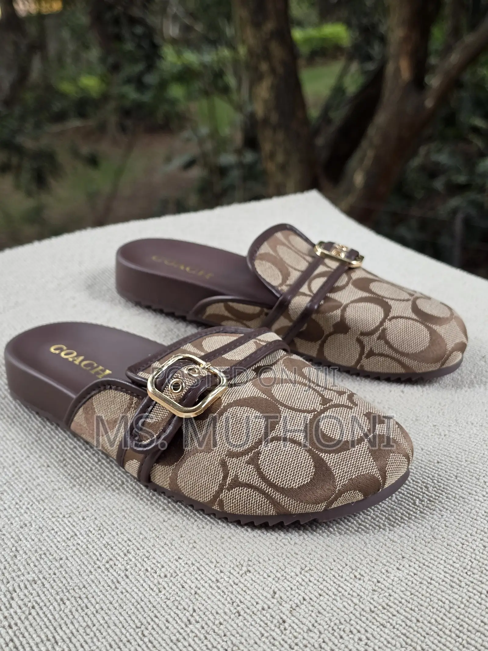 Coach Archival Buckle Flat Mules Size 37-41