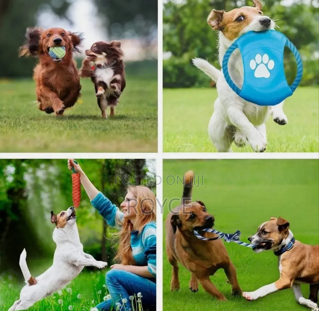 Dogs Chew Set Toys