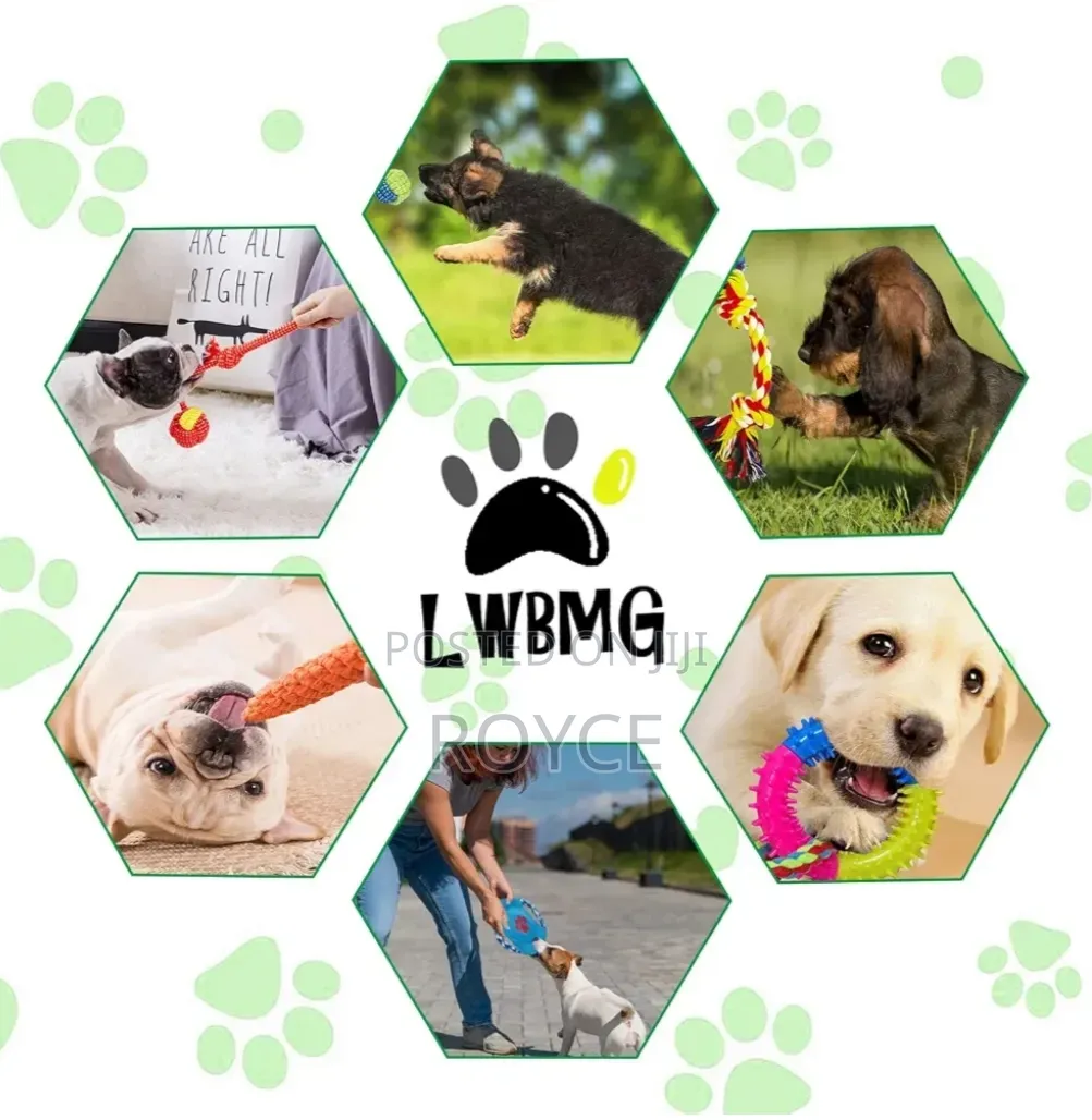 Dogs Chew Set Toys