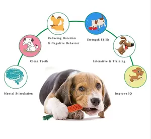 Dogs Chew Set Toys