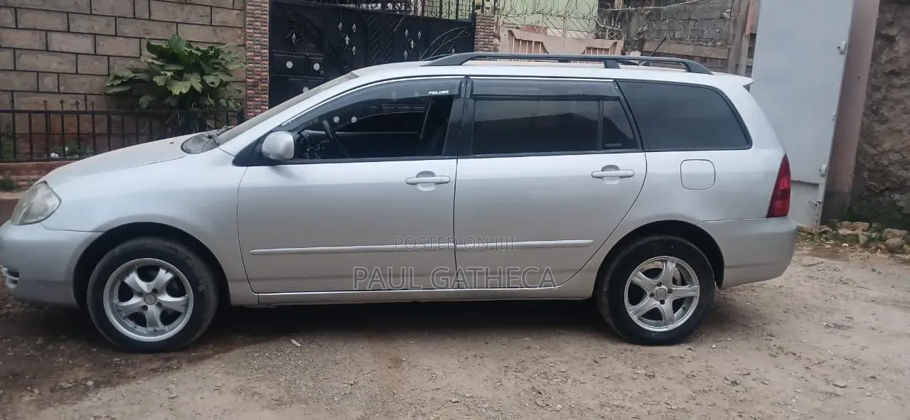 Toyota Corolla Fielder 2003 Silver