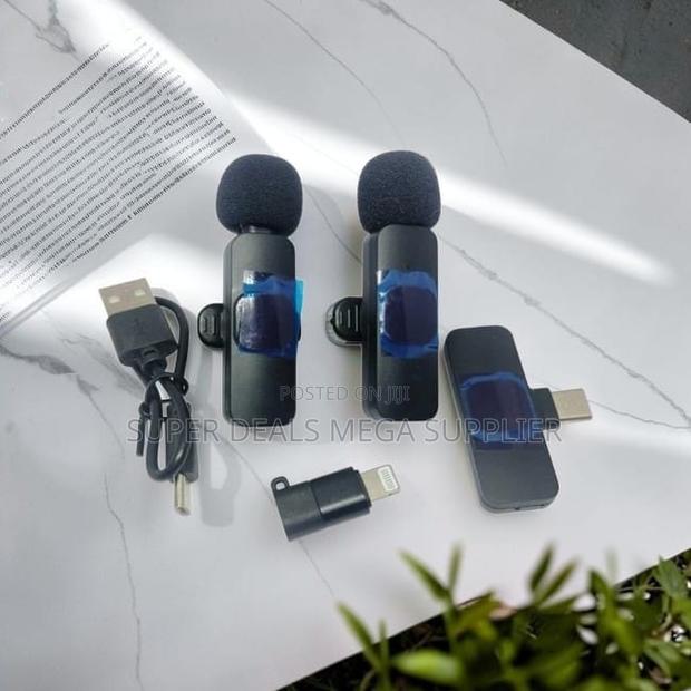 Easy Setup Mini Lapel Lavalier Dual Wireless Microphone