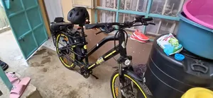 Bicycle Electric