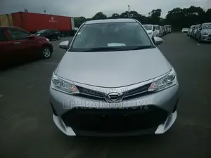 Toyota Corolla Fielder 2021 Silver