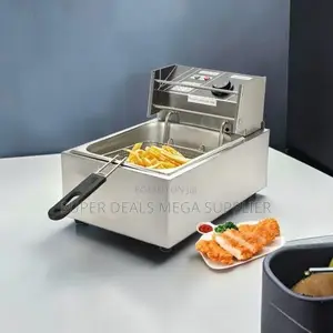 Commercial Kitchen 4l/6l/10l Electric Stainless Steel Deep Fryer