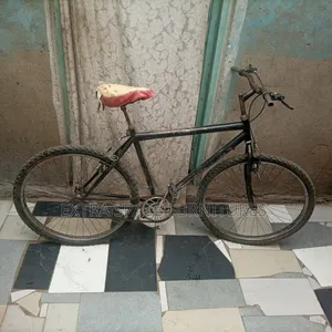 Adult Bike