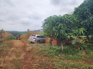 Sagana One and a Half Acres for Sale Nairobi -Nyeri Highway