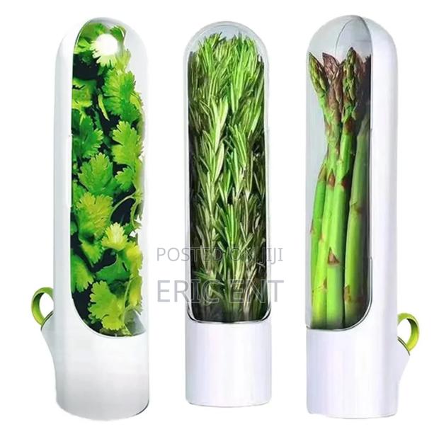 Herb Saver /Dhania Fridge Storage Containers - thumbnail 2