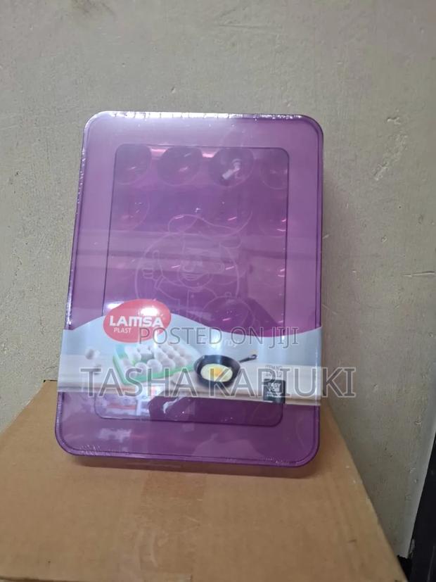Plastic Egg Tray _Sam - main view