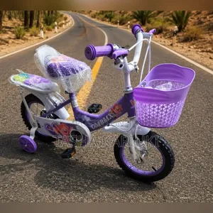 Heavy Duty OM BMX Size 12 Bicycle