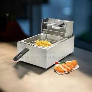 Fast Heating High Power 4l/6l/10l Electric Stainless Steel Deep Fryer