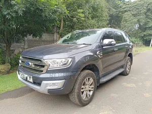 Ford Everest 2018 Gray