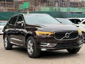 Volvo XC60 2019 Brown