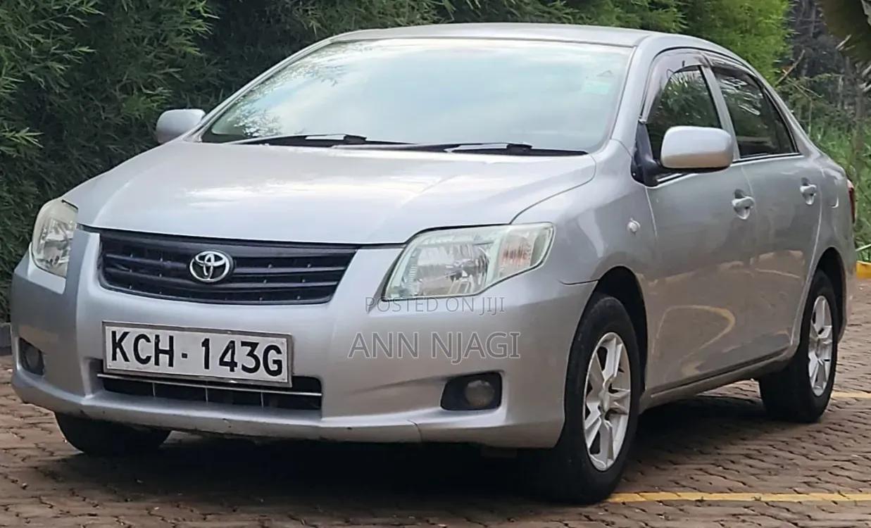 Toyota Axio 2009 Silver