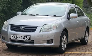 Toyota Axio 2009 Silver