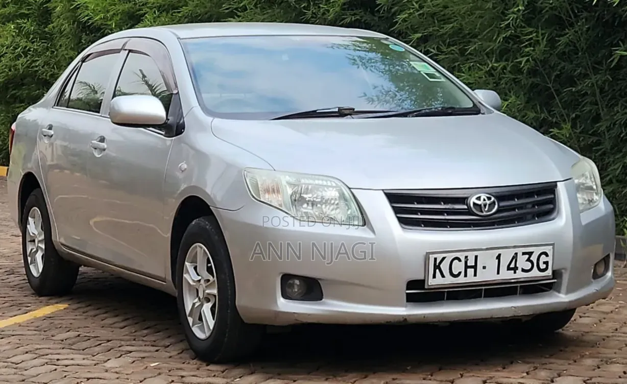 Toyota Axio 2009 Silver