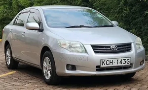 Toyota Axio 2009 Silver