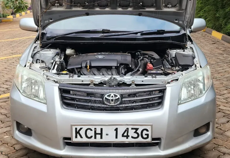 Toyota Axio 2009 Silver