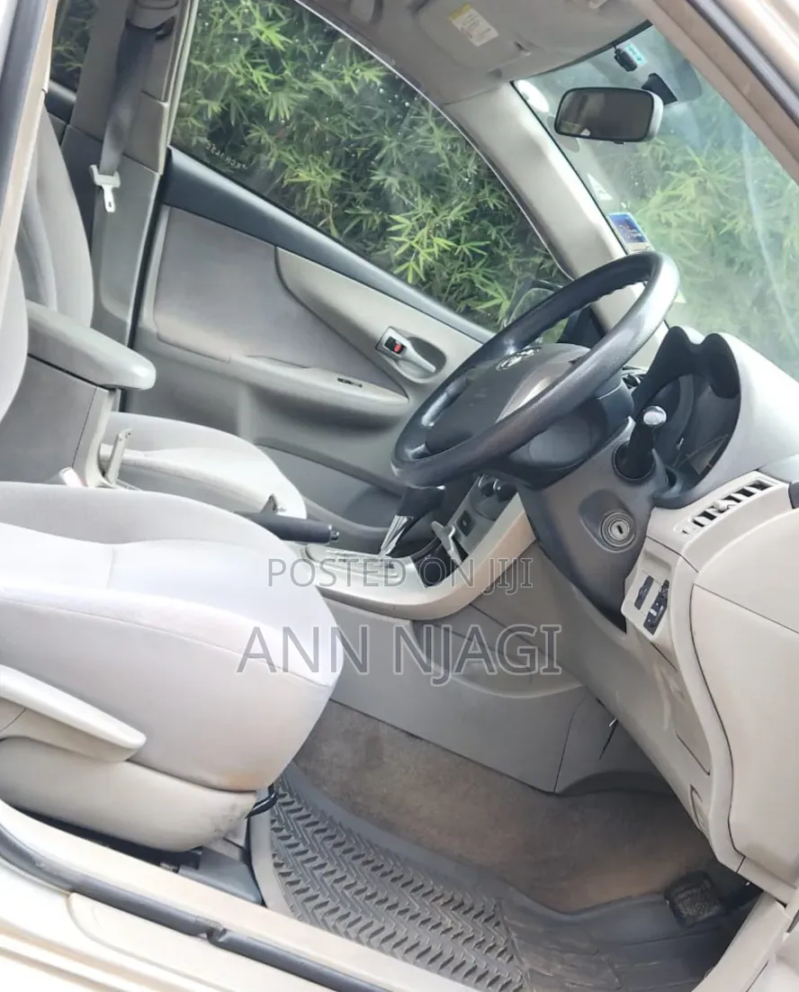 Toyota Axio 2009 Silver