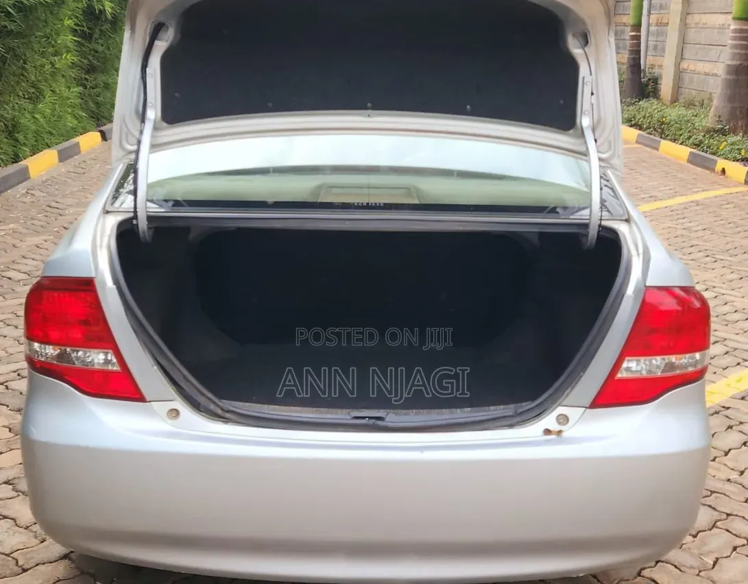 Toyota Axio 2009 Silver