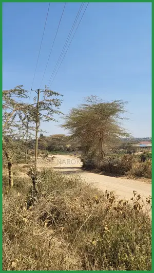 50×100 Roadfront Commercial Plot for Sale in Narok, Pulung'A