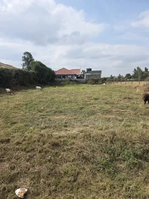 100*100 Residential Plot Chuna Estate Kitengela.