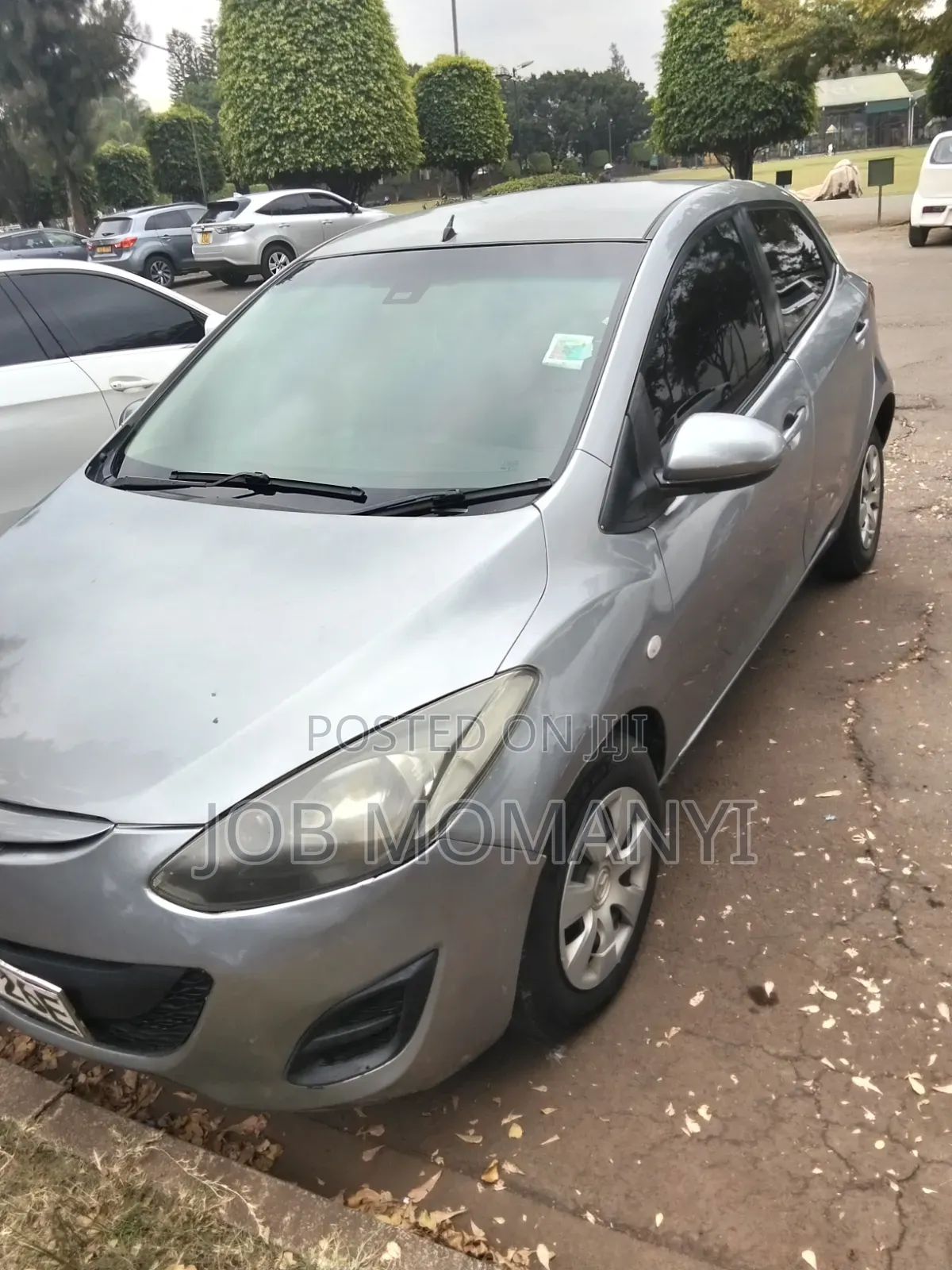 Mazda Demio 2013 Gray