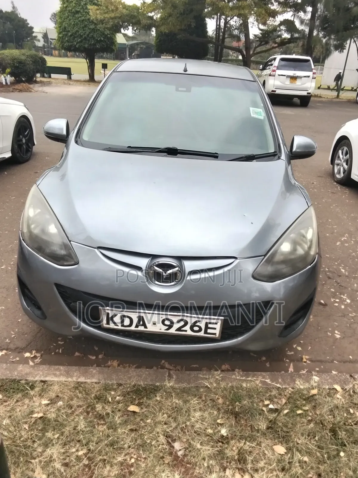 Mazda Demio 2013 Gray