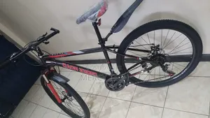 Size 28 Flex Bicycle