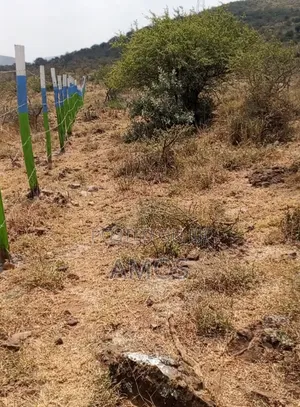 5ac Ideal for Plot Subdivision Ndeiya Giceru Near Ngong Suswa Tarmac.