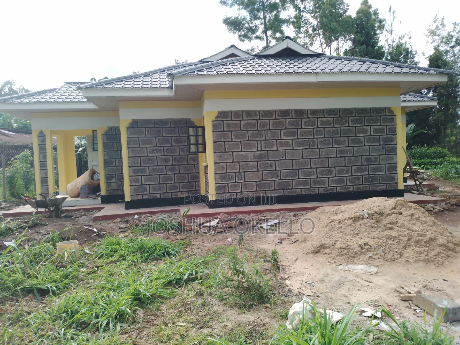 Wall Master and Exterior Paints