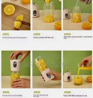 Rechargeable Portable Juicing Cup / Blender