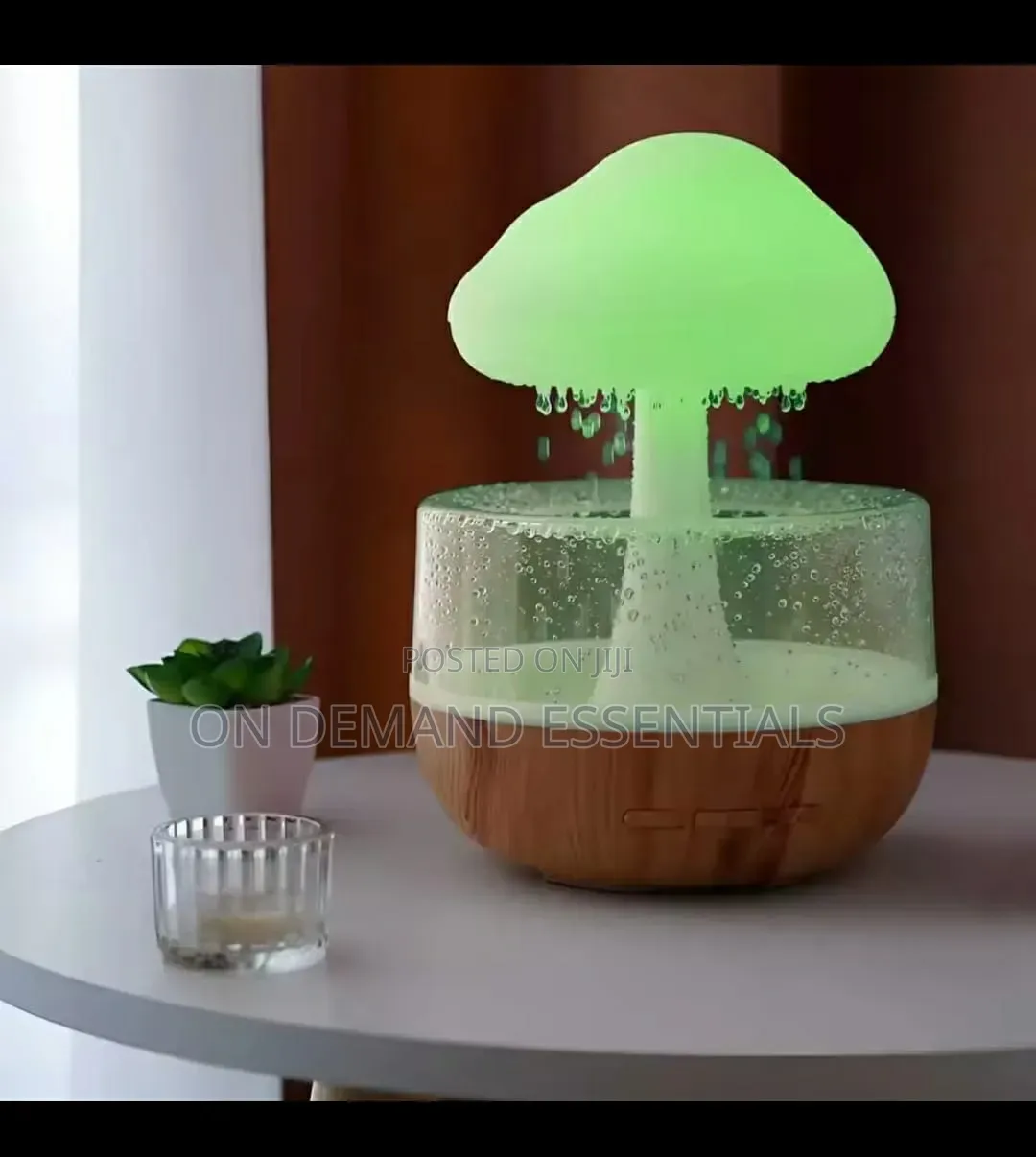 Rain Cloud Humidifier