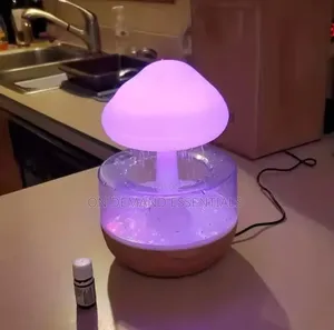 Rain Cloud Humidifier
