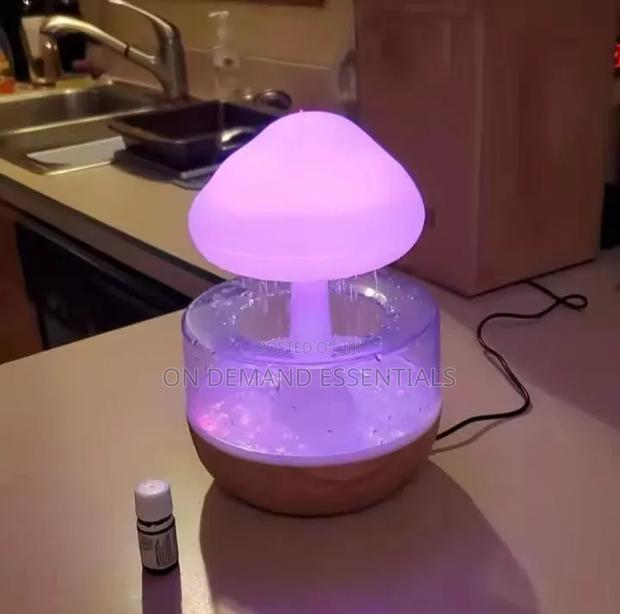 Rain Cloud Humidifier - thumbnail 2