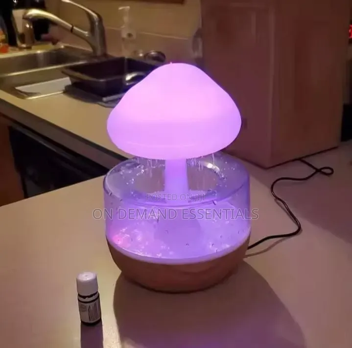 Rain Cloud Humidifier