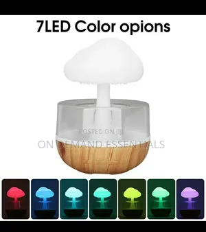 Rain Cloud Humidifier