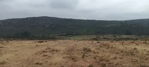 6.5 Acres in Kikuyu