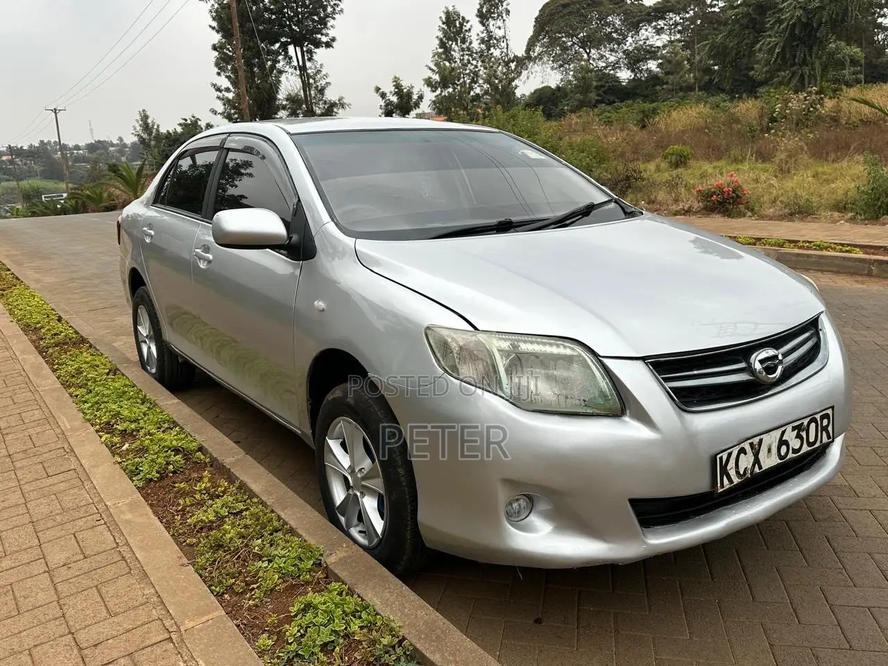 Toyota Axio 2012 Silver