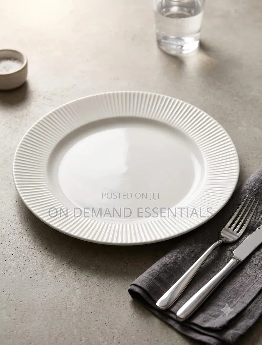 Dinner Plate With Lines